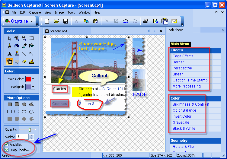 Belltech ScreenSmart Screen Capture Screenshot
